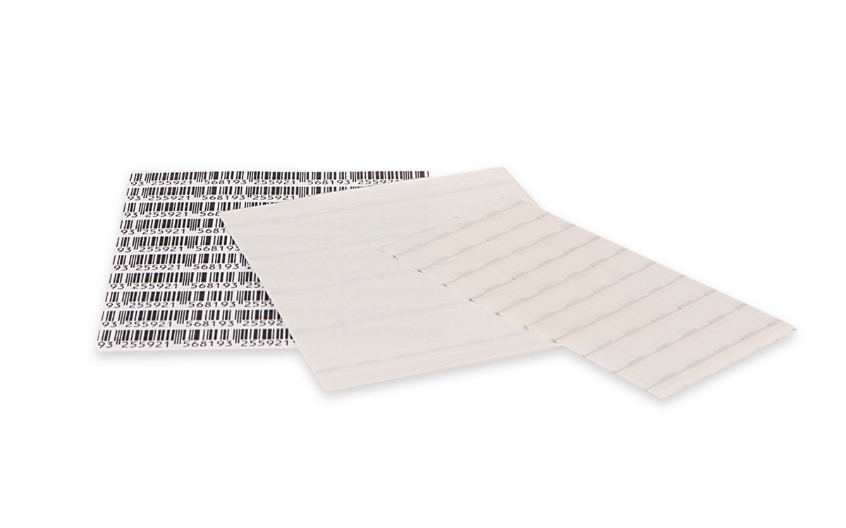 EAS AM Uranus 400 - Full Plexi System